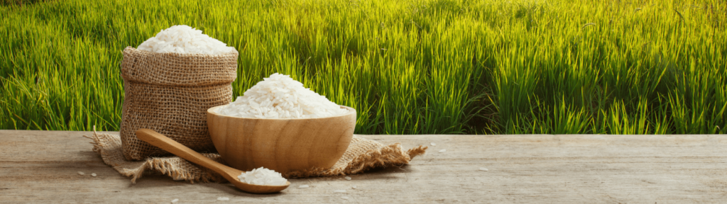 Is Jasmine Rice Good For Diabetics Into Your Kitchen is-jasmine-rice-good-for-diabetics-into-your-kitchen