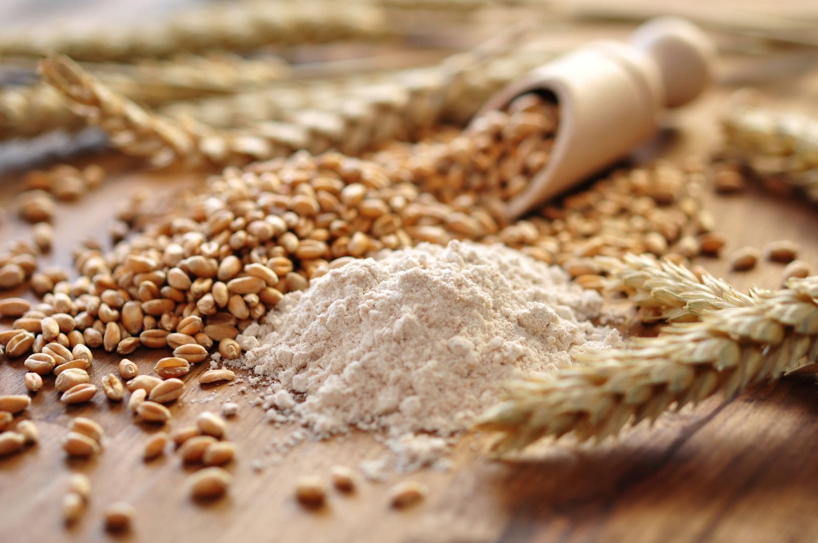 A wooden table displaying wheat grains and flour, highlighting the best flour for making bread